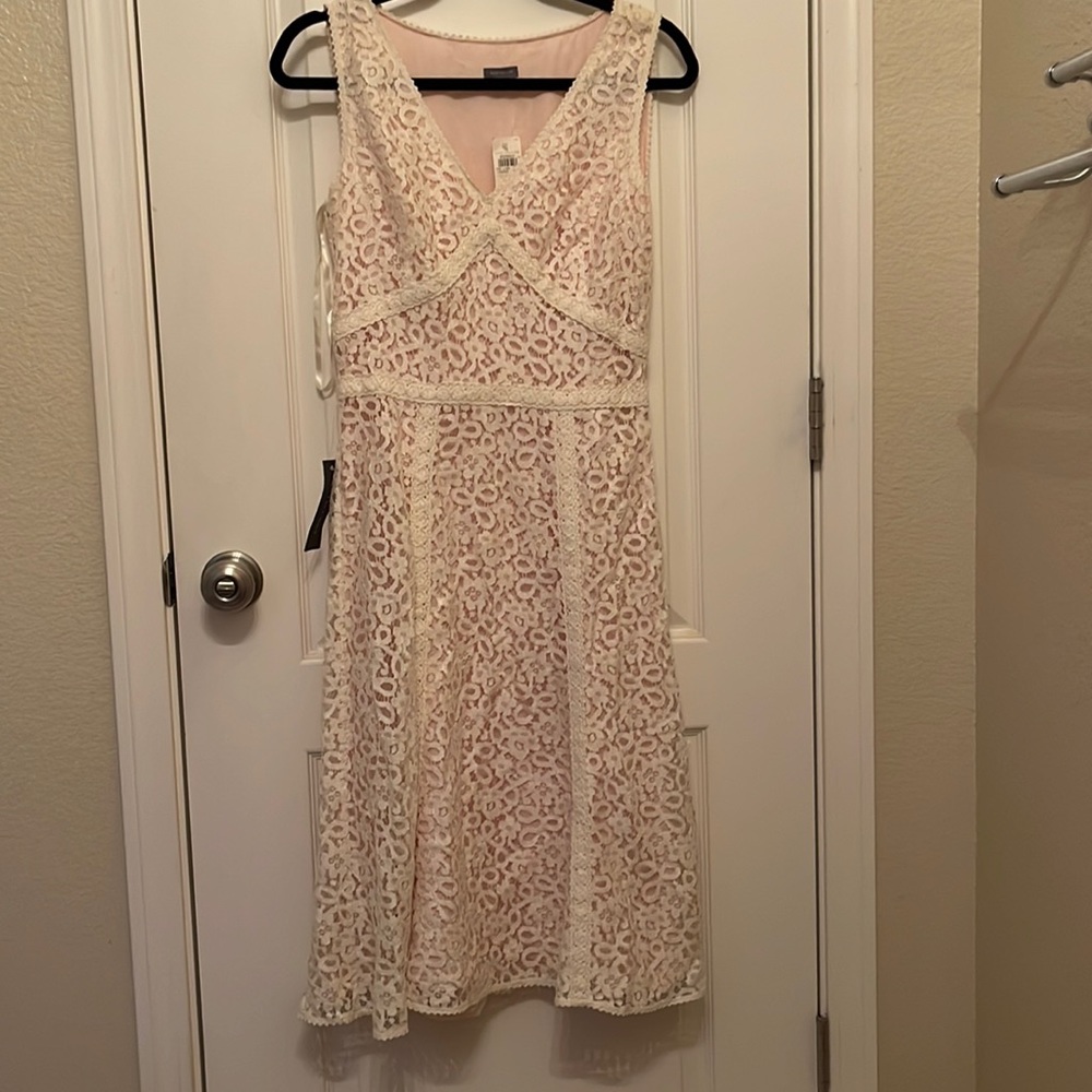 Womens Ann Taylor Dress